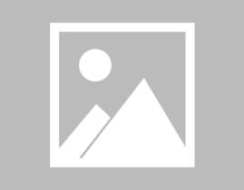 当修仙大佬穿到魔法世界,修仙大佬的魔法世界奇幻之旅